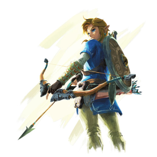 Zelda Link Breath of the Wild