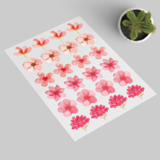 Stickers Fleurs Aquarelles