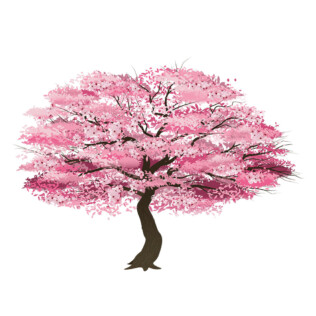 Sticker Arbre Japonais