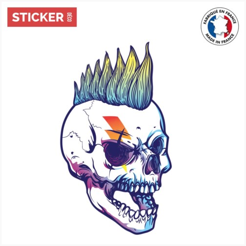 Sticker Crâne Punk
