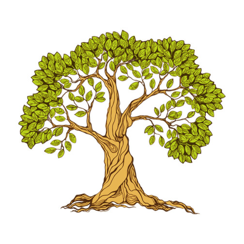 Sticker Arbre Illustration