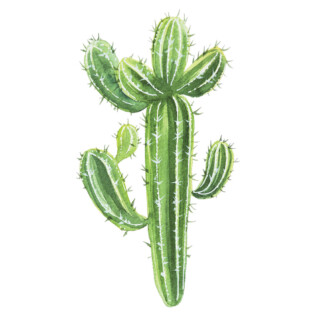 Sticker Cactus