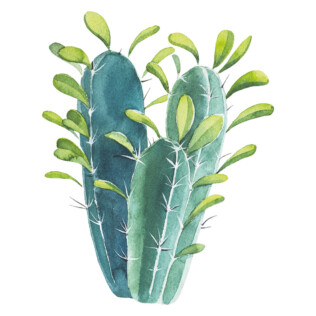 Sticker Cactus Bleu