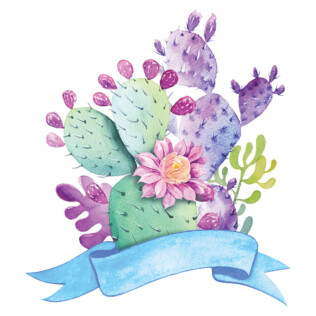 sticker cactus Bouquet Coloré