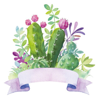 Sticker Cactus Composition