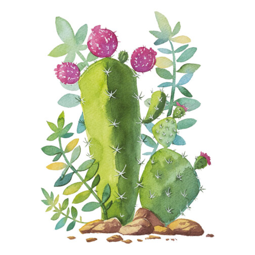 Sticker Cactus Enterré