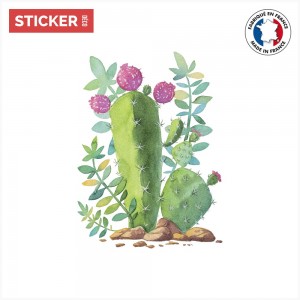 Sticker Cactus Enterré