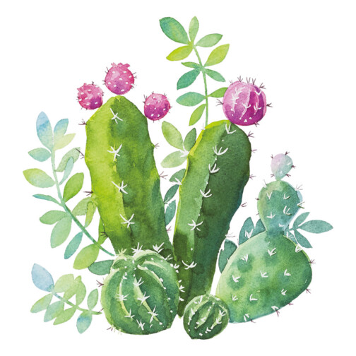 Sticker Cactus Fleur Violette