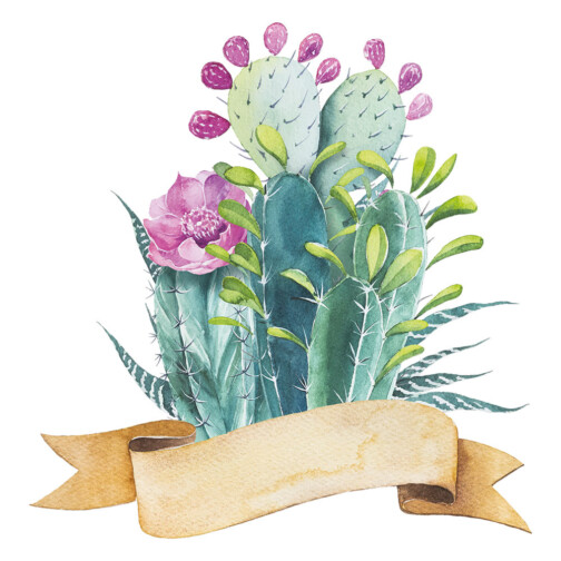 Sticker Cactus Floral