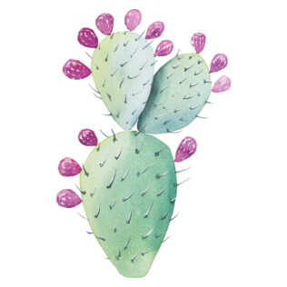 Sticker Cactus Fruit