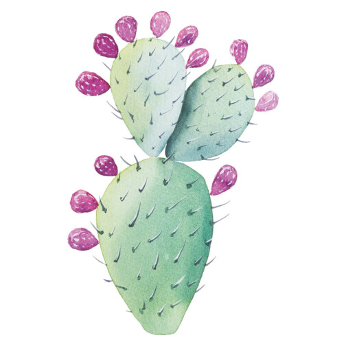 Sticker Cactus Fruit