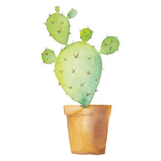 Sticker Cactus Pot