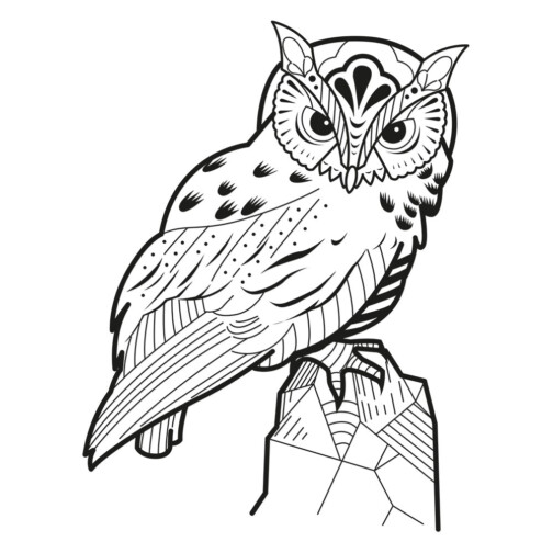 Sticker Hibou Classique