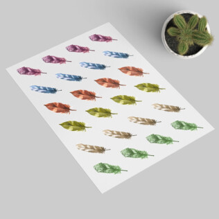 Sticker Plumes Colorées