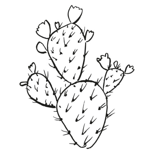 sticker cactus doodle 3 branches