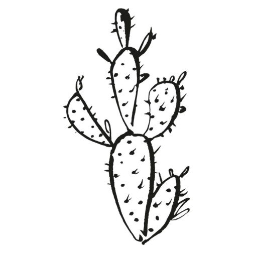 sticker cactus doodle 4 branches