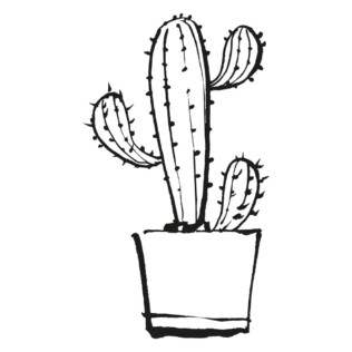 sticker cactus doodle Plante