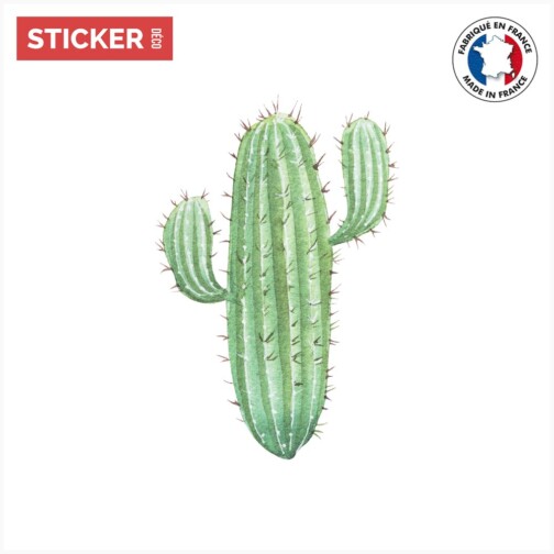 sticker cactus deux branches