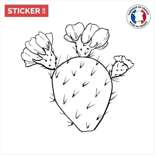 sticker cactus doodle fleur