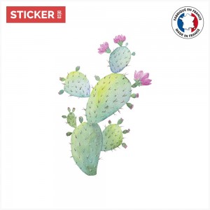sticker cactus Coloré