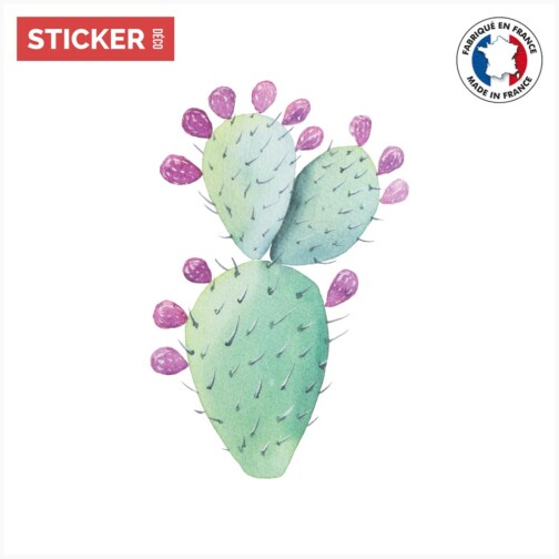 Sticker Cactus Fruit