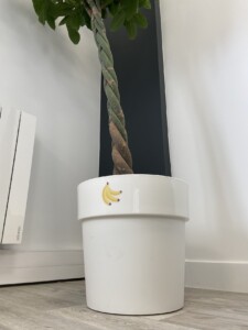 Photo planche de sticker banane pot de fleur blanc