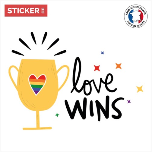 Sticker Citation Love Wins