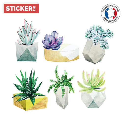 Stickers Cactus Aquarelles