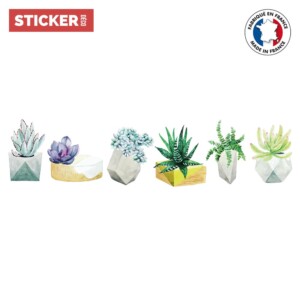 Stickers Cactus Aquarelles