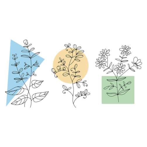 Stickers Fleurs Minimalistes Dessin