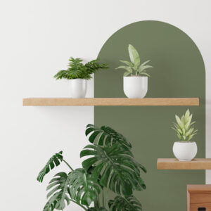 Sticker Arche Murale