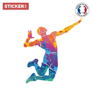 Sticker Volleyball Multicolor