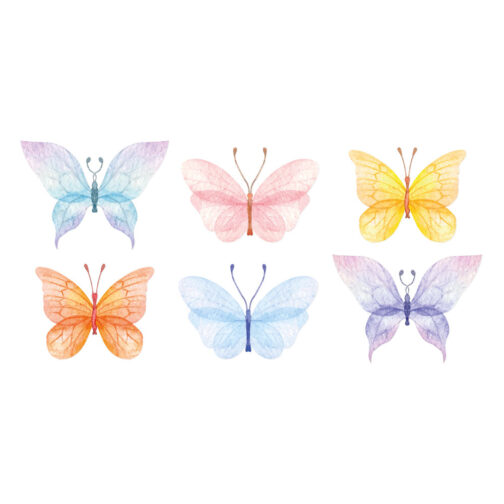 Sticker Papillons Pastels